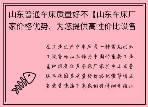 山东普通车床质量好不【山东车床厂家价格优势，为您提供高性价比设备】